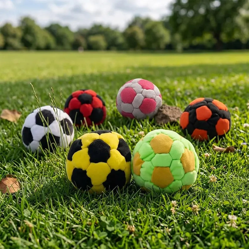 Soccer Sack